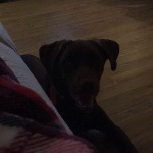 Meet your Posher, Donna